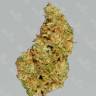 Pablo Escobar feminised Ganja Seeds Pablo Escobar feminised Ganja Seeds