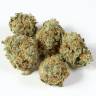 семена конопли курьером LA Cannalope regular DNA Genetics