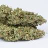 семена культурной конопли купить Auto OG Kush feminised Dinafem Seeds семена культурной конопли купить Auto OG Kush feminised Dinafem Seeds