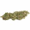 мощные семена конопли Dutch Cheese feminised Dutch Passion Seeds мощные семена конопли Dutch Cheese feminised Dutch Passion Seeds
