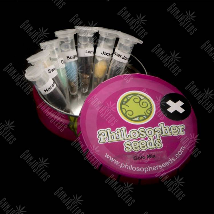 семена конопли в России Golo Mix + feminised Philosopher Seeds семена конопли в России Golo Mix + feminised Philosopher Seeds