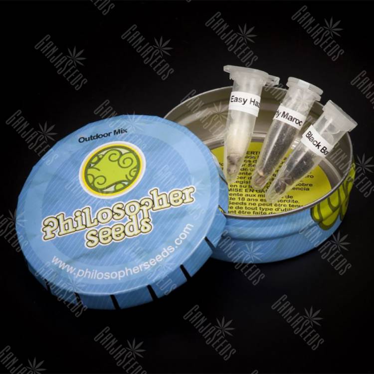 семена конопли аутдор Outdoor Mix feminised Philosopher Seeds семена конопли аутдор Outdoor Mix feminised Philosopher Seeds