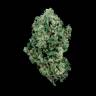 семена конопли индика Kandy Kush regular Reserva Privada семена конопли индика Kandy Kush regular Reserva Privada