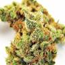 семена конопли Россия Blueberry OG feminised Barneys Farm семена конопли Россия Blueberry OG feminised Barneys Farm