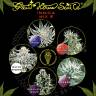 семена конопли Москва Indica Mix E feminised Green House Seeds семена конопли Москва Indica Mix E feminised Green House Seeds