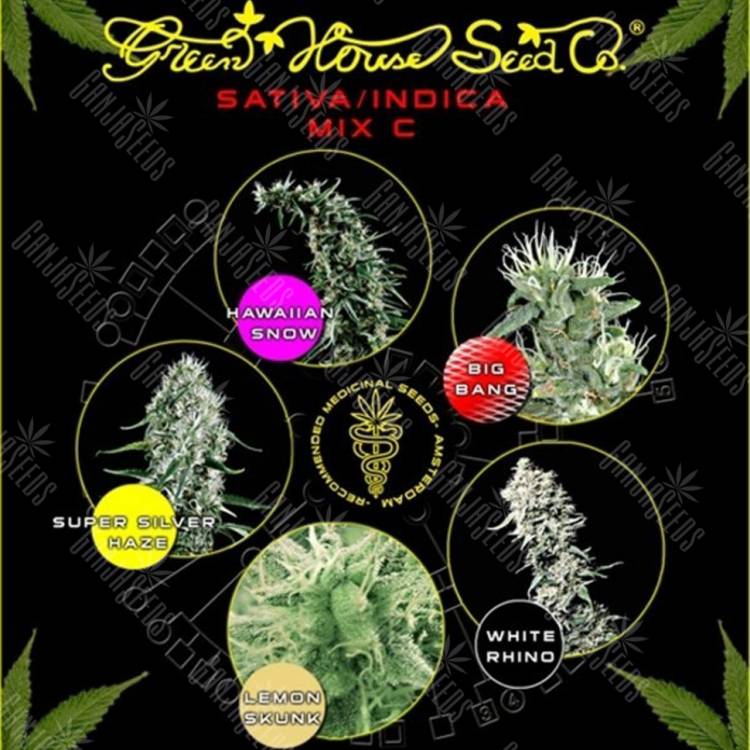 купить семена конопли Sativa/Indica Mix C feminised Green House Seeds купить семена конопли Sativa/Indica Mix C feminised Green House Seeds