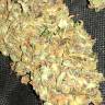 семена конопли Auto Big Bud feminised семена конопли Auto Big Bud feminised