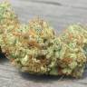 семена конопли курьером Top Dawg feminised Barneys Farm семена конопли курьером Top Dawg feminised Barneys Farm