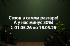 Сезон в самом разгаре! А у нас минус 30%!